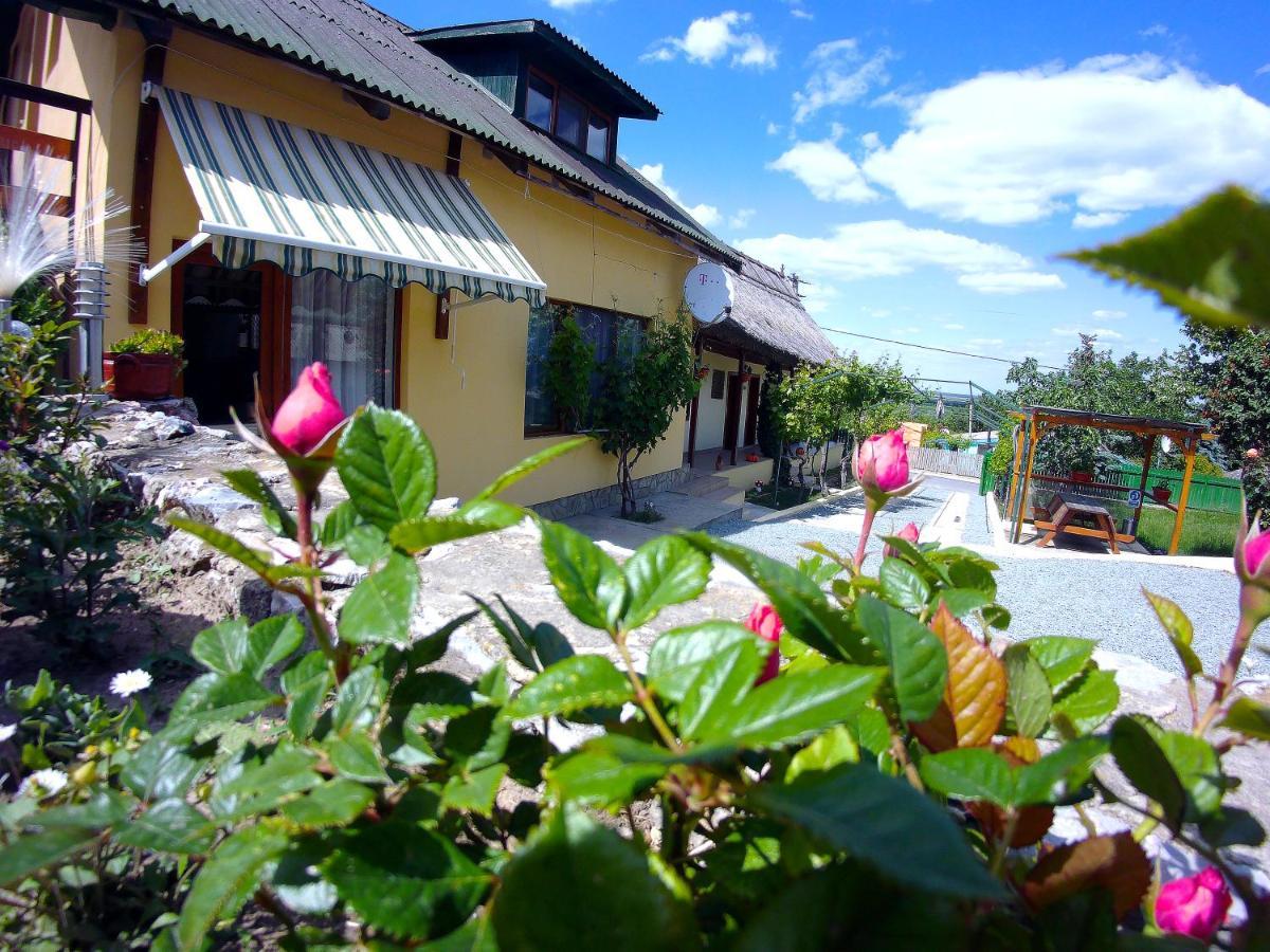 Casa Adi Si Maria Hotel Mahmudia Exterior photo